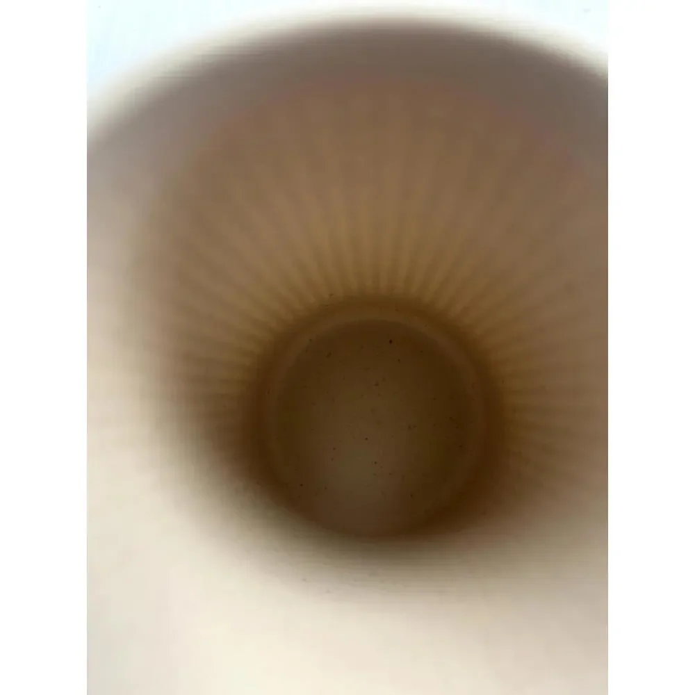 Dandat 16 Pcs Wheat Straw Cup - Picture 4 of 15